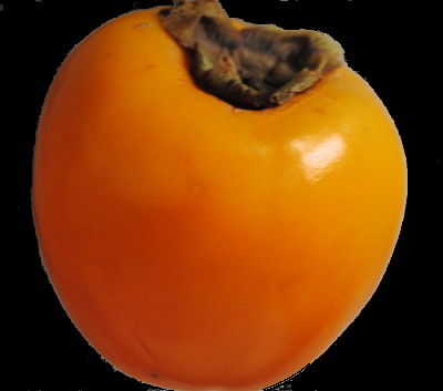 Kaki